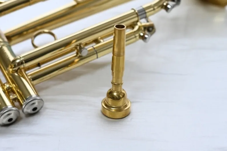 マウスピースなど一部のみの楽器の例
